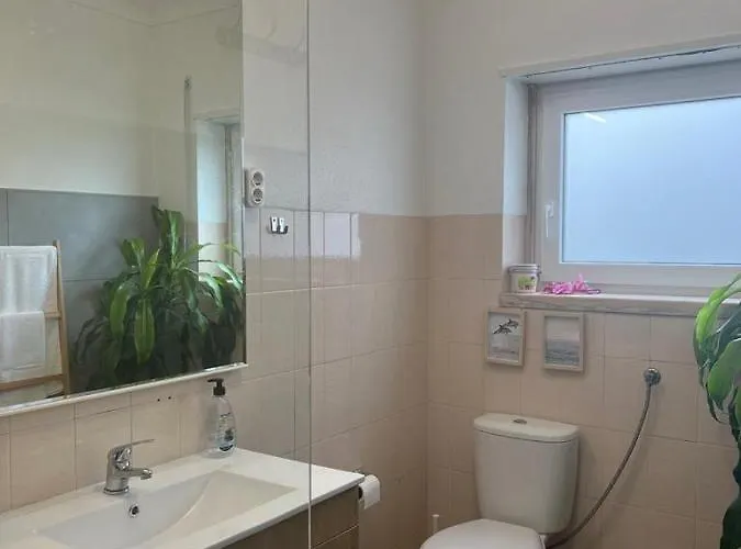 Apartman South