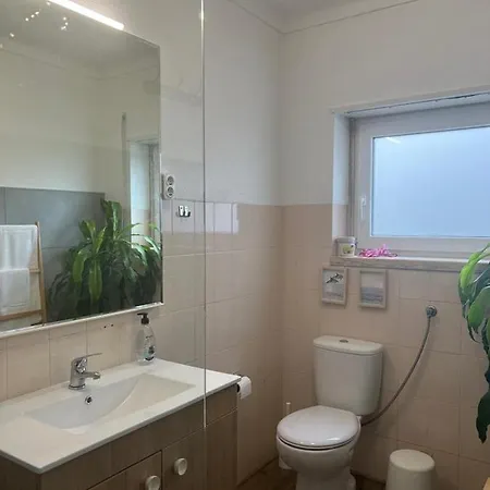 Apartment South